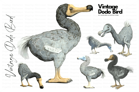 Download Extinct Dodo Vintage-Style Illustrations - Vintage Collection