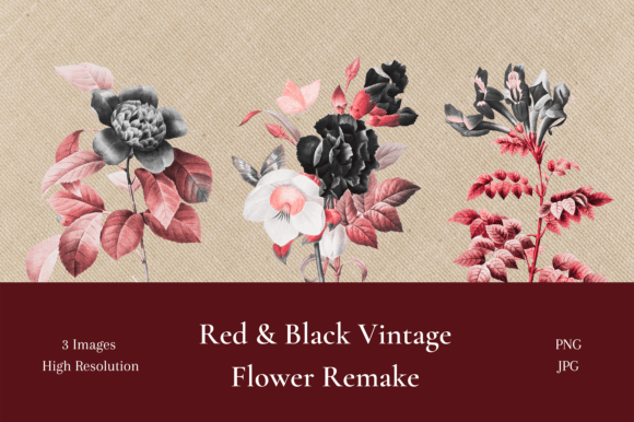 Download Red and Black Vintage Flower Remake - Vintage Collection