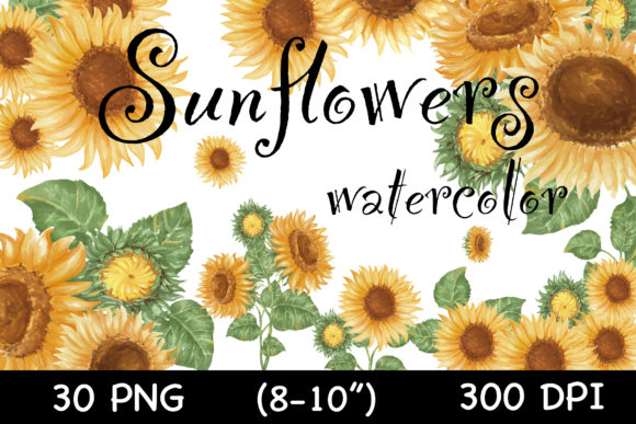 Download Watercolor Sunflowers, Vintage(clip Art) - Vintage Collection