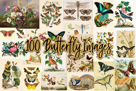 Download 100 Vintage Victorian Butterfly Ephemera - Vintage Collection